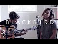 Blackbird (Beatles) | Dining Room Sessions | Alex G