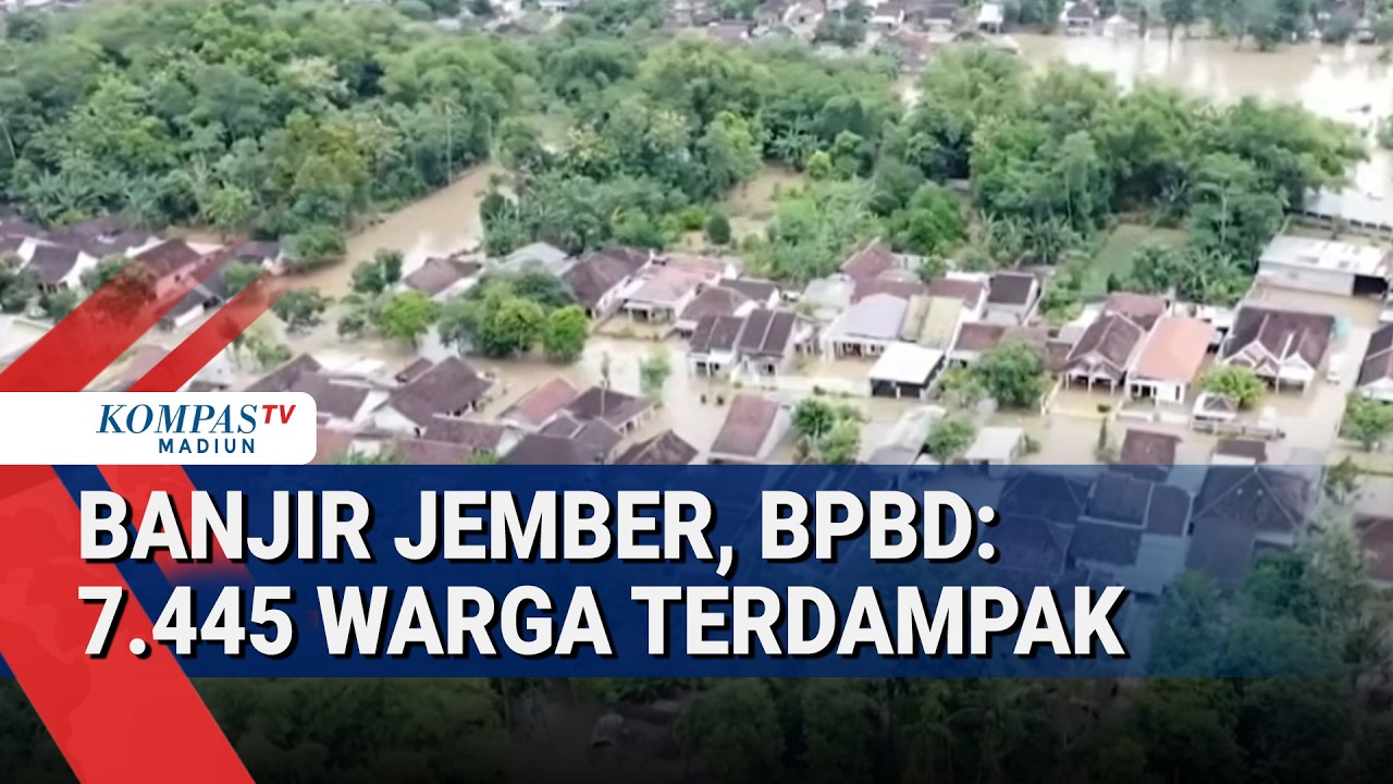 Pantauan Udara Banjir di Jember, 23 Desa Terendam dan 7.445 Warga Terdampak