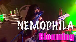 NEMOPHILA / Blooming [Official Live Video]