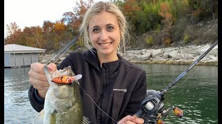 My Top 5 Crankbaits for Lake Travis Bass Fishing