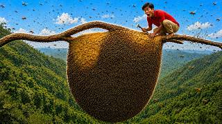 Beyond 100 Meters: The World’s Most Terrifying Honey Hunt! 😱