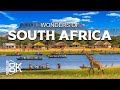 Wonders of South Africa – Explore Untamed Nature and Iconic Landscapes | Travel Video 4K