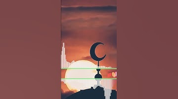 لا يُكَلِّفُ اللَّهُ نَفْسًا إِلَّا وُسْعَهَا #قرآن #تلاوة_هادئة 🤎#تلاوة_مميزة # #تلاوة_خاشعة #آية 💜