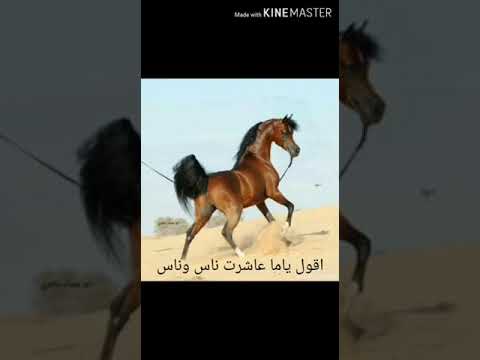 يا اما ناس