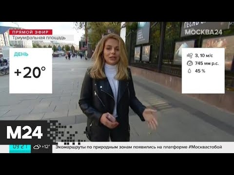 "Утро": теплая погода ожидается в столичном регионе 22 сентября - Москва 24