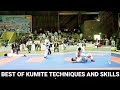 Best of kumite karatetechniques and skills