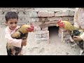 How To Make Chicken Coop with Mud and Bricks | Chicken Coop Design | Village Life Hacks | Khaby