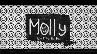 Salvi & Franklin Dam - Molly (Official Audio)