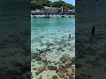 高知の端っこ。沖縄顔負けの海が高知にあるがやって。 高知は自然都会やき。#shorts