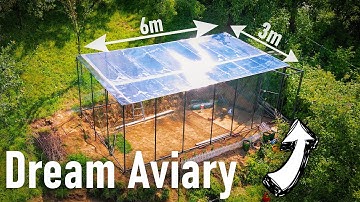 Building My Dream Aviary!