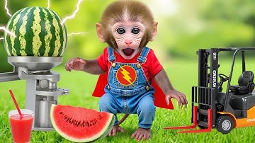 Monkey Nana Drives a tractor and embarks on a bizarre adventure with the thuder watermelon