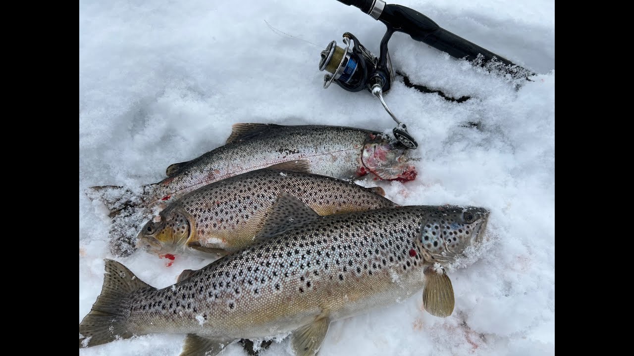 Не боясь зимних бурь, отправляйтесь на охоту за форелью!