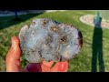 CUTTING THREE MAGNIFICENT AGATES [Mind-Blowing Gemstones!!!]