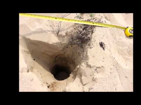 Mystery Holes Force