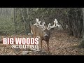 BIG WOODS DEER SCOUTING how to HUNT MOUNTAIN BUCKS! Part 3 -Mapping Public Land Whitetail Deer in PA