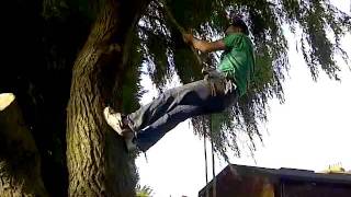 FUNNY TREE CLIMBING EPIC FAIL JAMIE LOCK