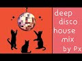 71 minutes of cozy deepdisco house  relaxed soulful soothing 120 vibes mix by px