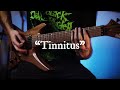 Tinnitus  guitar playthrough feat isaac stolzergary