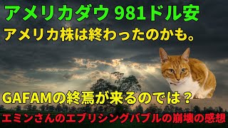 アメリカダウ981ドル安　アメリカ株は終わったかも　GAFAMについて分析しました　エミンさんのエブリシングバブルの崩壊の読後感想もあり