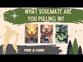PICK A CARD: WHAT SOULMATE ARE YOU CURRENTLY PULLING IN *requested*