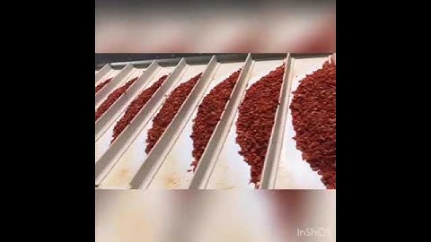 Dehydrated  carrot production