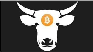 Bitcoin and Beef with Tristan Scott