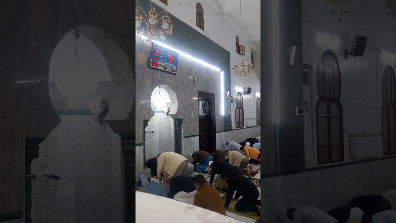 شيخ خير الدين قراءة خاشعة