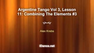 Celebrity Argentine Tango Vol 3, Lesson 11: Combining The Elements #3 - Argentine Tango Lesson #2663 Wealth