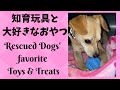 愛犬達がお気に入りの、知育玩具とおやつは、ズバリこれです！