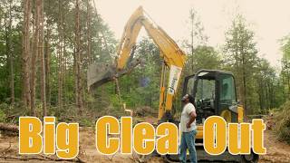     250 Trees vs Excavator — Here’s What Happened