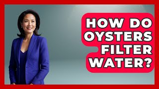 How Do Oysters Filter Water? - The Marine Life Explorer