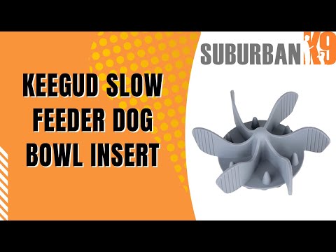 Slow Feed Dog Bowl Insert