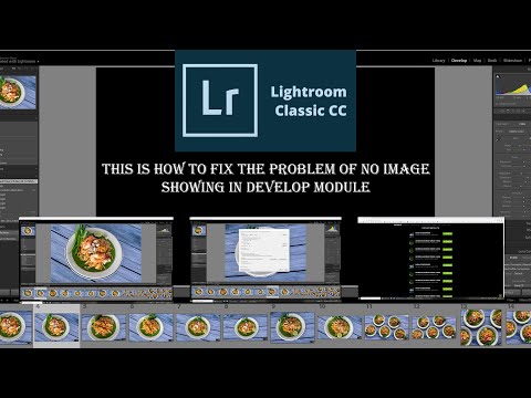 Lightroom Problems? 'No Image Showing  in Develop Module' Then this might fix it - by David Found