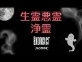 生霊・悪霊【除霊・浄霊】Living spirits / evil spirits [removal / purification]