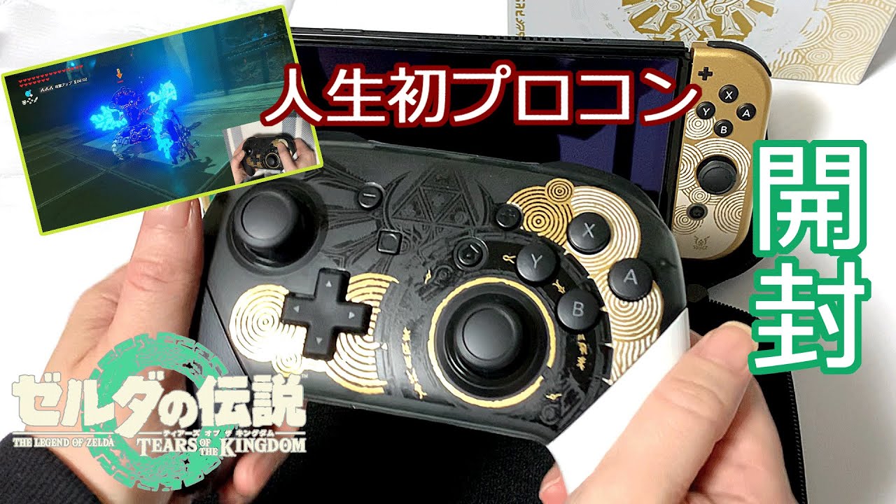 ゼルダの伝説 ティアーズ オブ ザ キングダム プロコン、アミーボなど