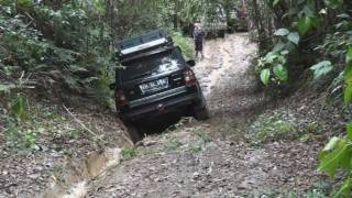 4wd, Watagans. Lemon Tree Side Tracks Pt 2.avi