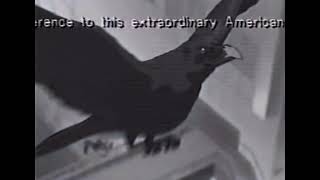 Serial Experiments Lain on KTEH post-911