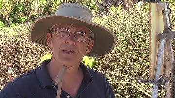 92 - Wekiva Paint Out: Mikel Wintermantel & Charles Dickinson