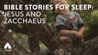 Bible Stories for Sleep: Jesus and Zacchaeus screenshot 2