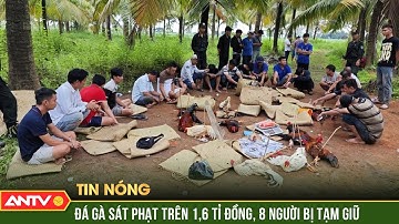 Đánh sập trường gà sát phạt hai trận trên 1,6 tỷ đồng | ANTV