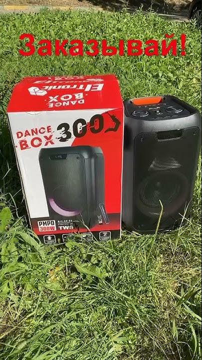 Беспроводная блютуз колонка Partybox dance box 300 Eltronic 20-01 - YouTube