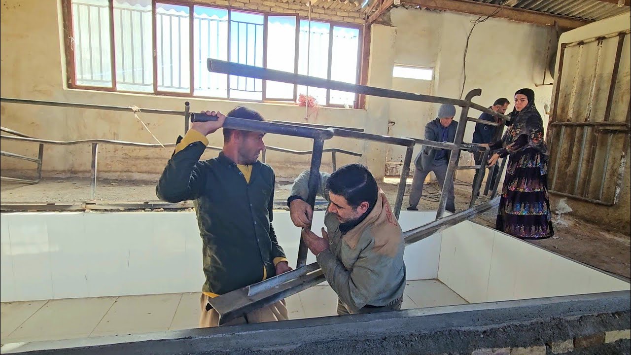 Technology in Dairy Optimization Facilitates the process of cows breastfeeding 