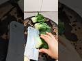 Perfect Bok Choy Cutting and Processing Process #shorts