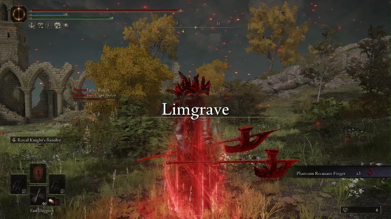 Classic host in Limgrave dc