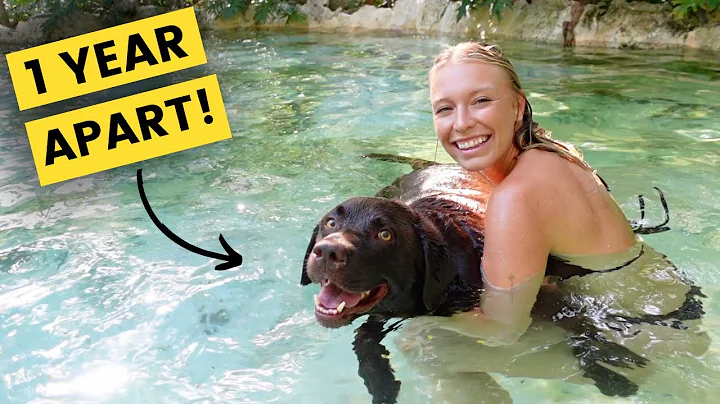 We Moved Our Dog From AUSTRALIA to MEXICO (emotion...