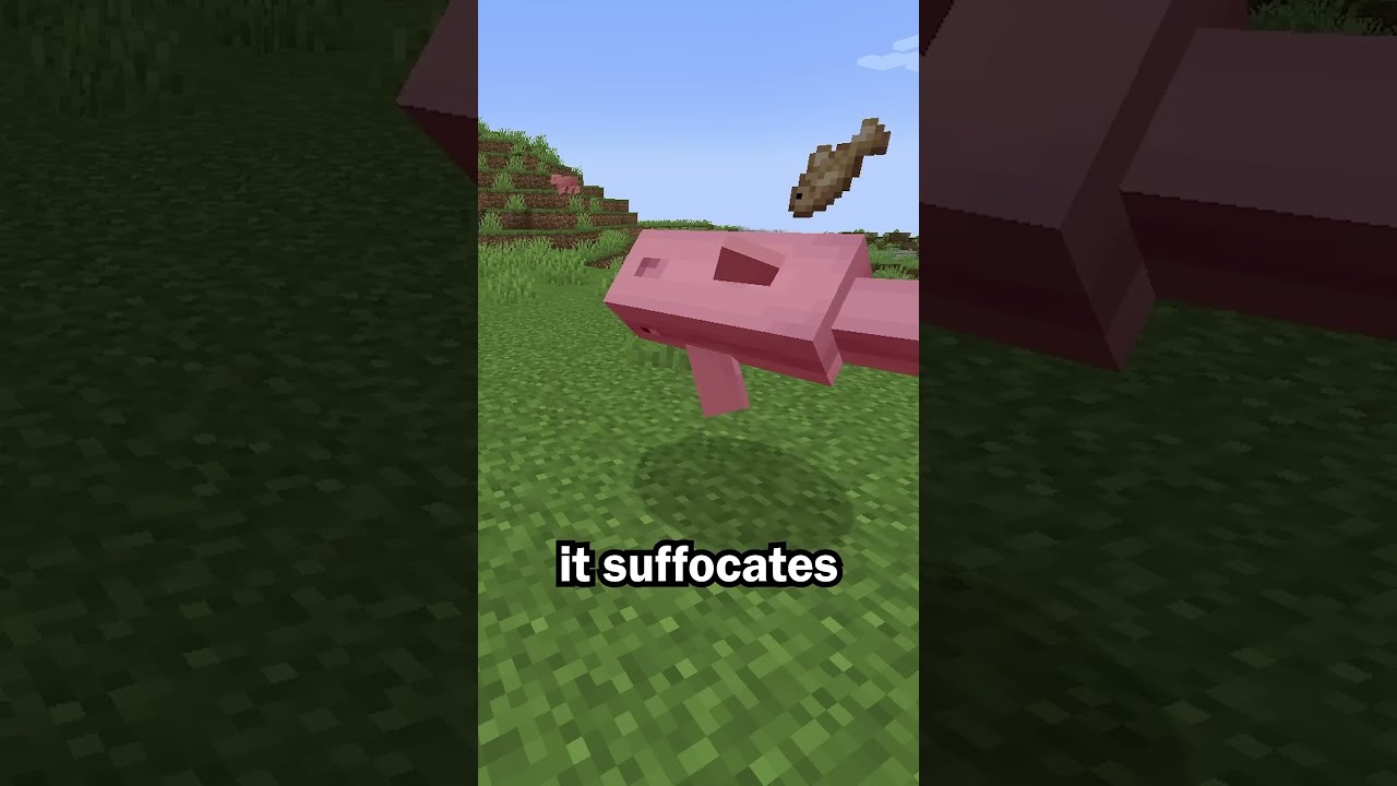 Dolphins Are The Dumbest Mob In Minecraft