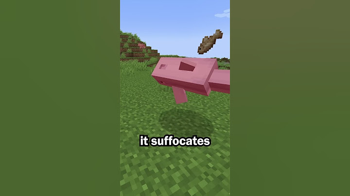 Dolphins are the dumbest mob in Minecraft