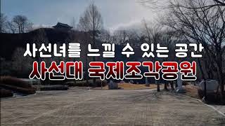 사선대 영상