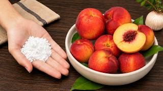 When Peaches Are Cheap, I Always Do This — Pick the Best, Keep Them Fresh & Make Easy Desserts screenshot 5