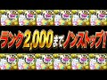 【天才】交換可!7~8分台!ドロ率100%!コスパ最高編成が美味すぎた12億コロシアム【パズドラ】